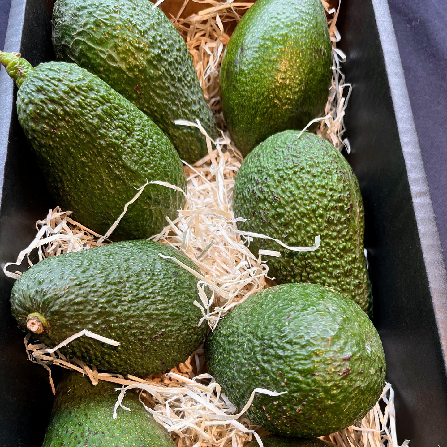 Aguacate de PIEL LISA