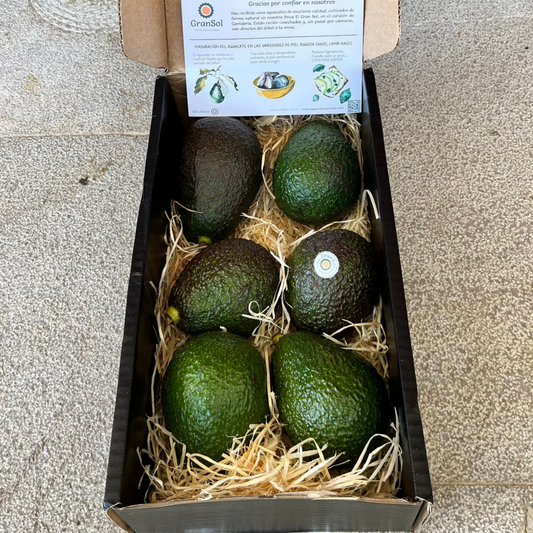 Aguacate LAMB HASS