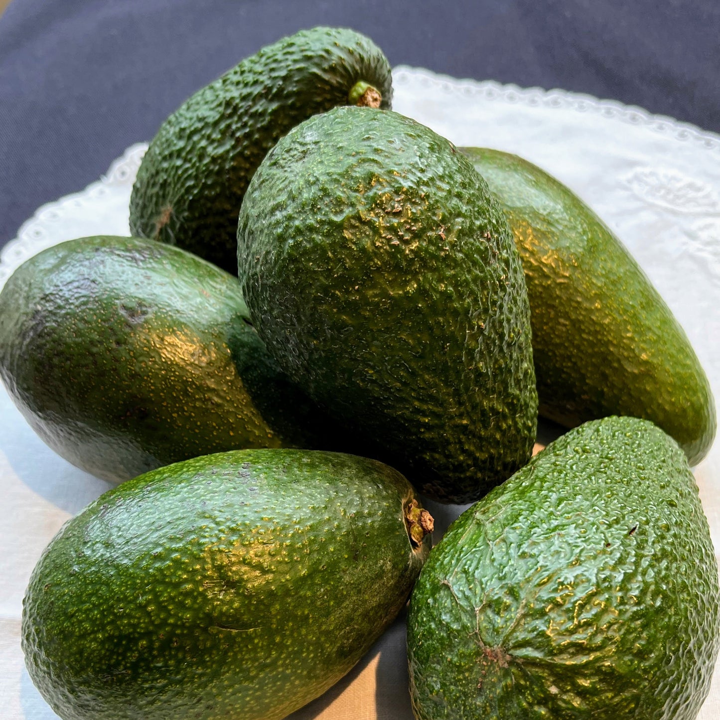 Aguacate de PIEL LISA